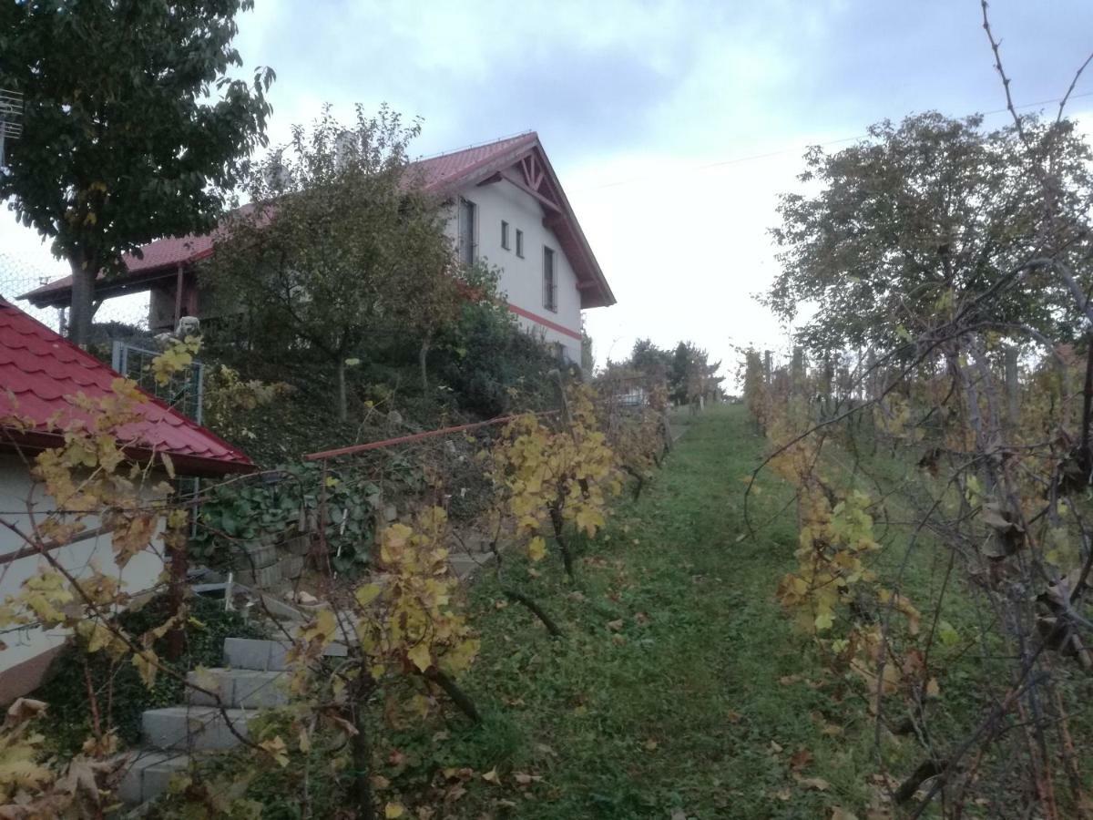Penzion Nad jezerem Pavlov Esterno foto