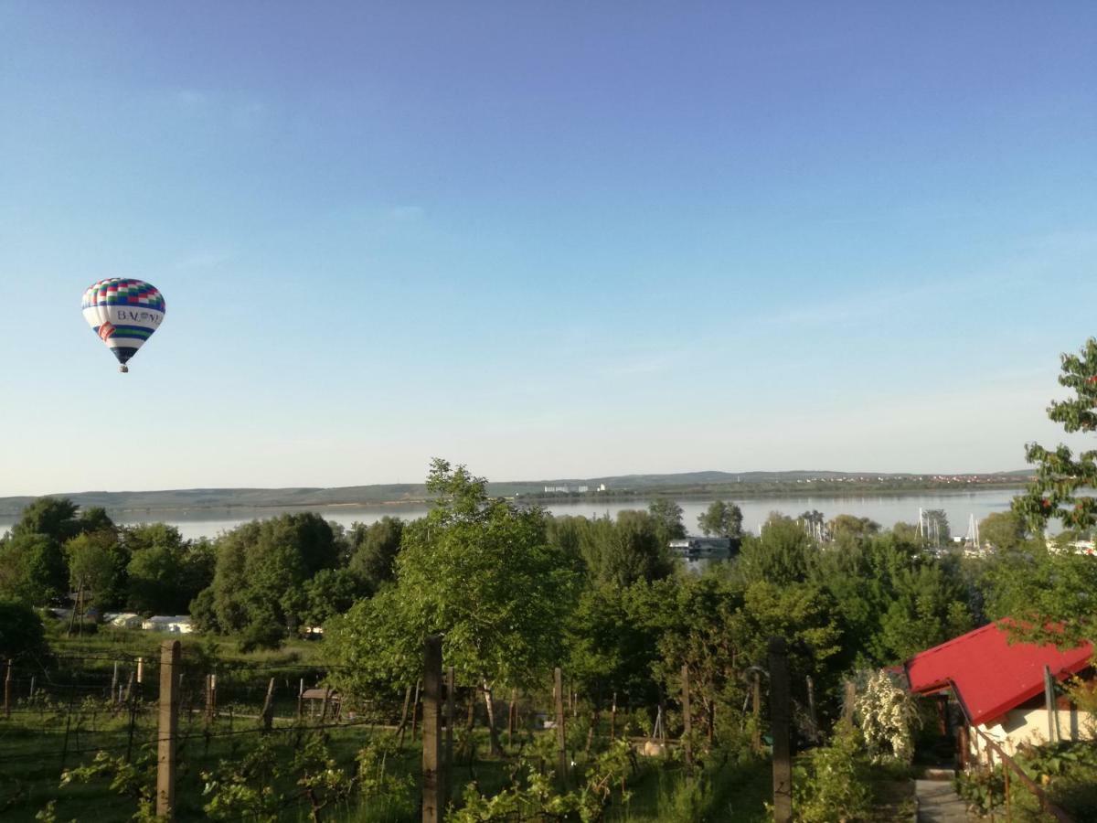 Penzion Nad jezerem Pavlov Esterno foto