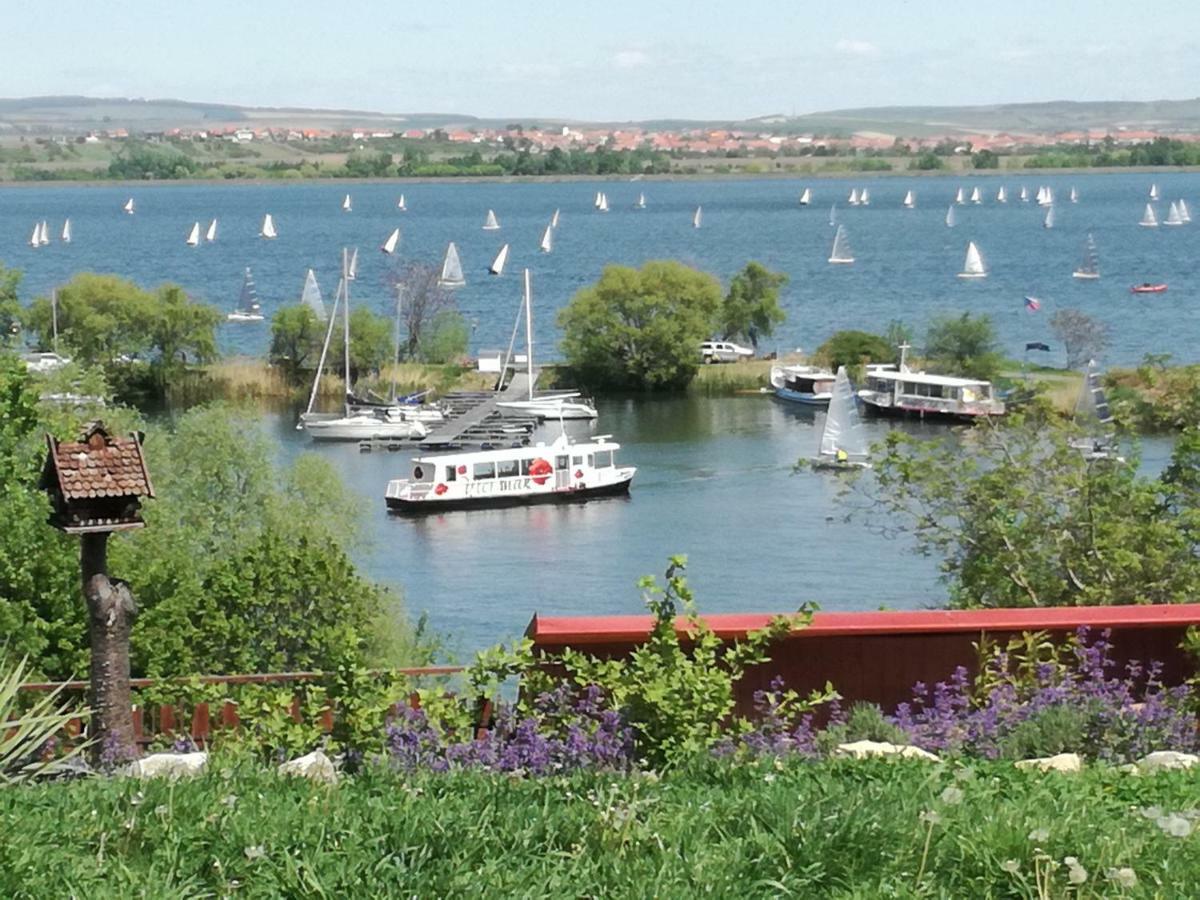 Penzion Nad jezerem Pavlov Esterno foto