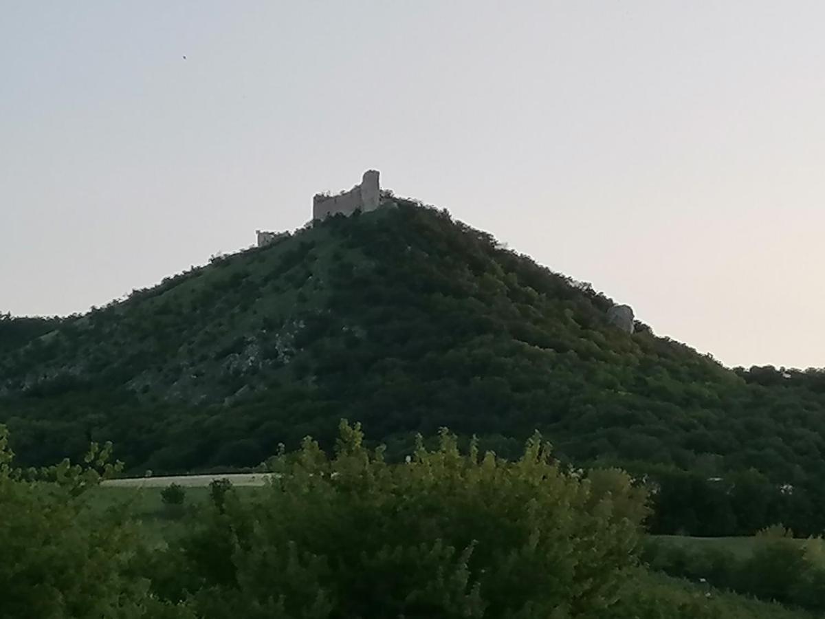 Penzion Nad jezerem Pavlov Esterno foto